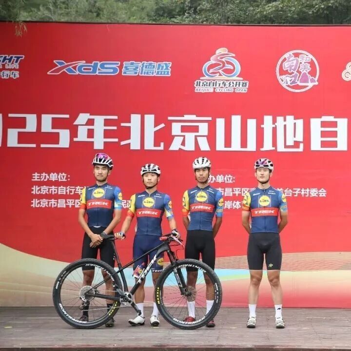 src, 最佳选择, img